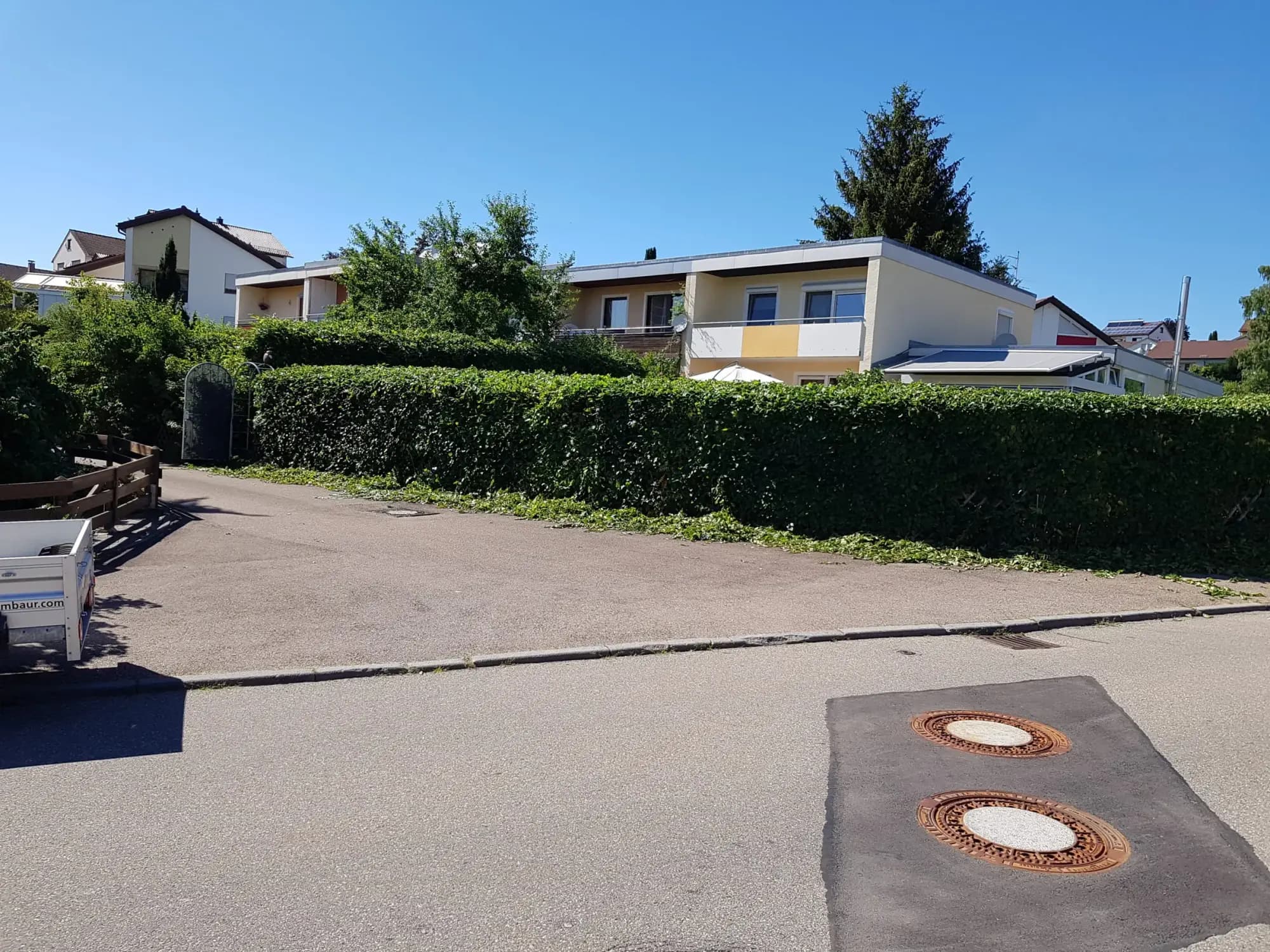 Hohe Hecke entlang einer Wohnstraße