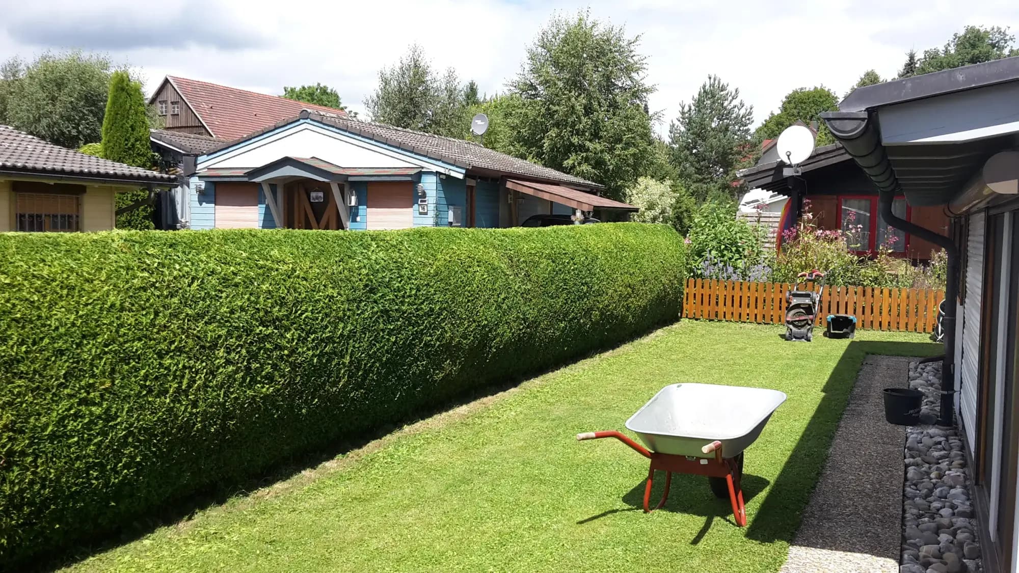 Frisch geschnittene Hecke mit gerader Kante entlang einer Rasenfläche