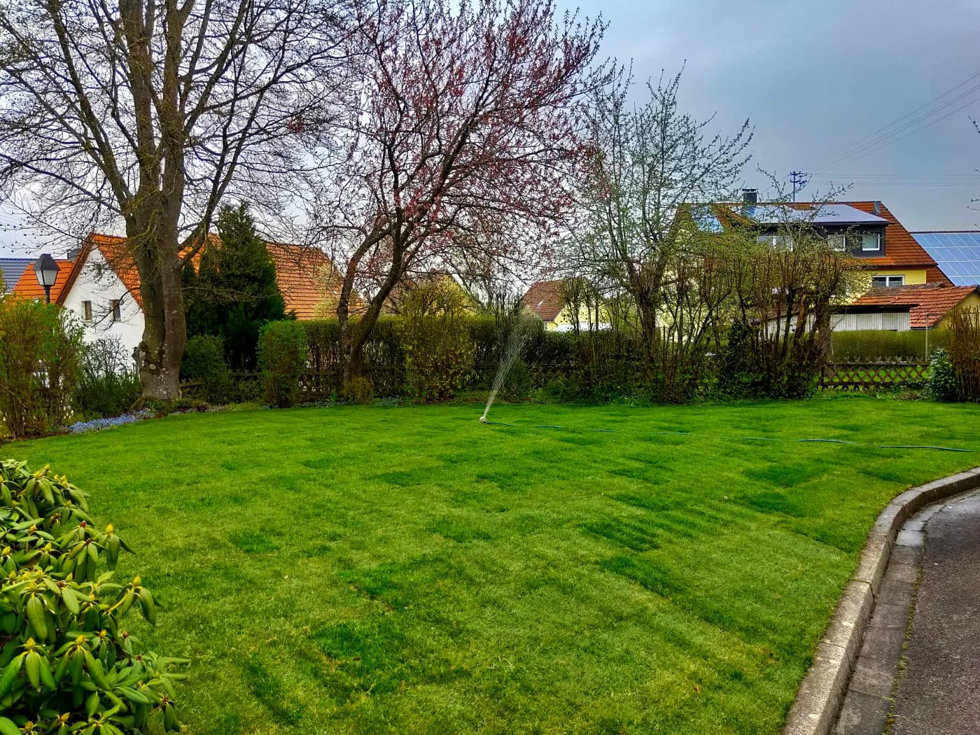 Ergebnis: Rasenanlage · Neuanlage in Ulm
